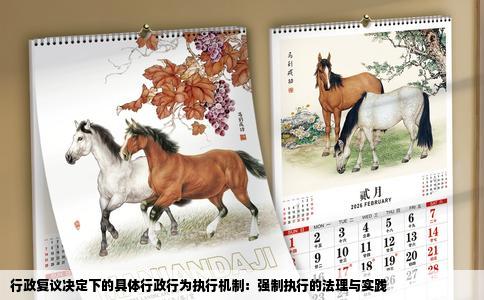 行政复议决定下的具体行政行为执行机制：强制执行的法理与实践