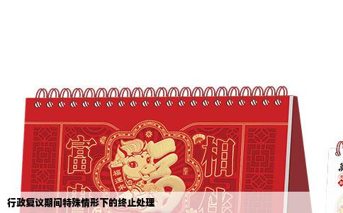 行政复议期间特殊情形下的终止处理