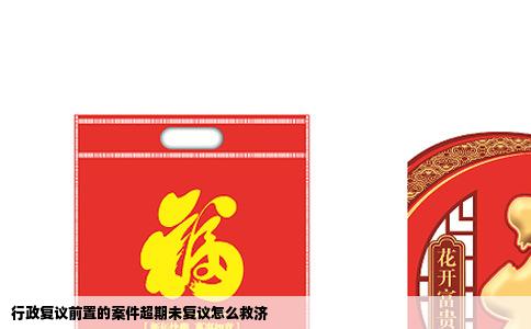 行政复议前置的案件超期未复议怎么救济