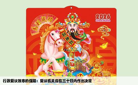 行政复议效率的保障：复议机关应在三十日内作出决定