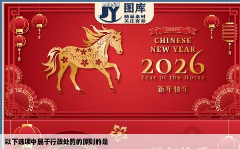 以下选项中属于行政处罚的原则的是