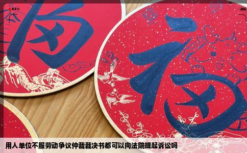 用人单位不服劳动争议仲裁裁决书都可以向法院提起诉讼吗