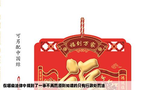 在哪些法律中提到了一事不再罚原则知道的只有行政处罚法