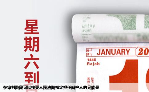 在审判阶段可以接受人民法院指定担任辩护人的只能是