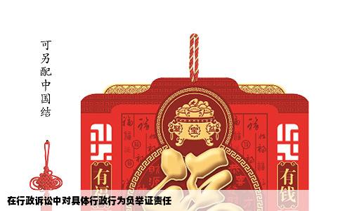 在行政诉讼中对具体行政行为负举证责任