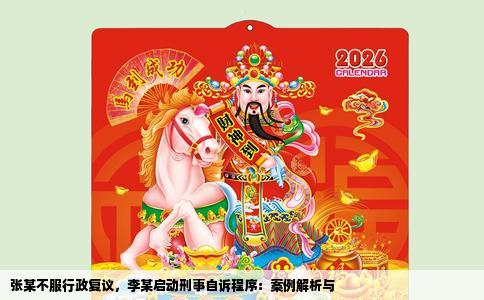 张某不服行政复议，李某启动刑事自诉程序：案例解析与