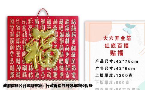 政府信息公开逾期答复：行政诉讼的时效与路径探析