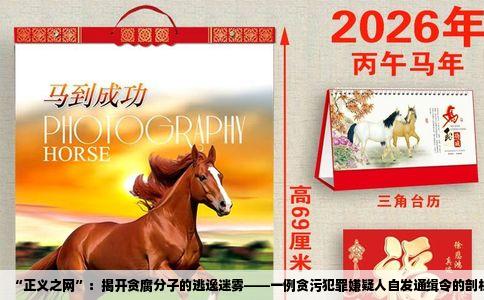 “正义之网”：揭开贪腐分子的逃逸迷雾——一例贪污犯罪嫌疑人自发通缉令的剖析