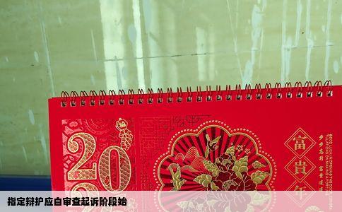 指定辩护应自审查起诉阶段始