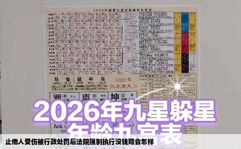 止他人受伤被行政处罚后法院强制执行没钱赔会怎样