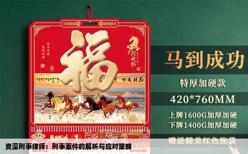 资深刑事律师：刑事案件的解析与应对策略